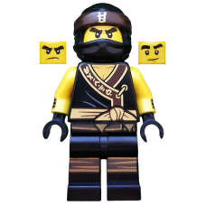 Ninjago Cole