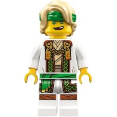 Ninjago Lloyd - Master