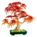 LEGO Botanicals 10348 Bonsaj japonski rdeči javor