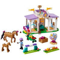 LEGO Friends 41746 Horse Training